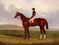 Flexible Elis A Chestnut Racehorse With John Day Up John Frederick Herring Jr horse
